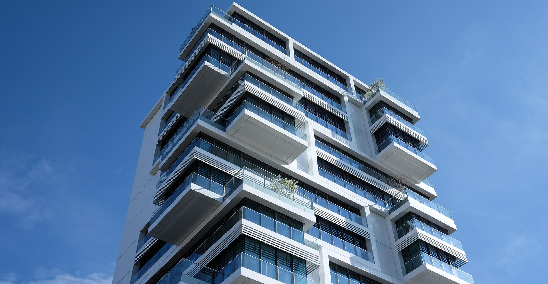 A healthy, free-range hen